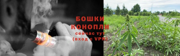 ПСИЛОЦИБИНОВЫЕ ГРИБЫ Богданович