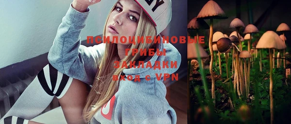 ПСИЛОЦИБИНОВЫЕ ГРИБЫ Богданович