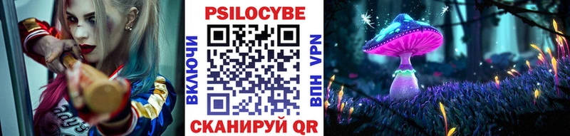 Псилоцибиновые грибы Psilocybine cubensis Старица